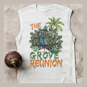 Tshirt (2x-4x Cotton) Drifit available for additio item