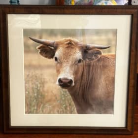 Cow item