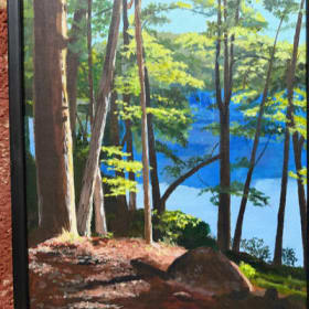 Woods Behind Cabin 6 item