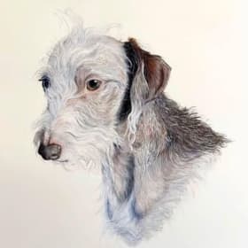 Kitty Draws Dogs item