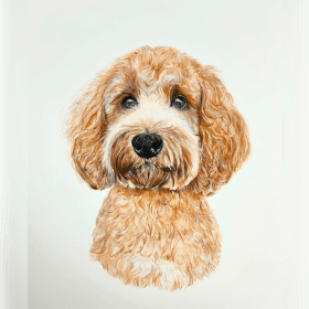 Kitty Draws Dogs item