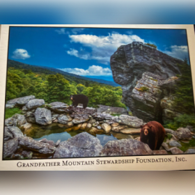 7. Grandfather Mountain Stewardship Foundation Pass item