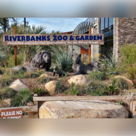 5. Four Tickets to The Riverbanks Zoo item