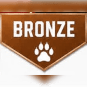 Bronze Business Package item