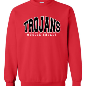 Sweatshirt *adult youth and toddler sizes* item