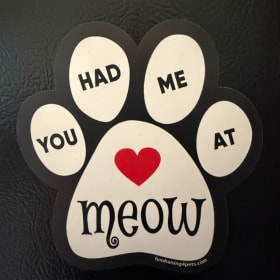 You Had Me at Meow Magnet item