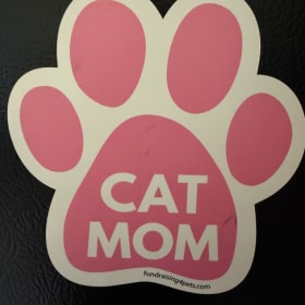 Cat Mom Magnet item