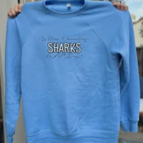Sweatshirt item