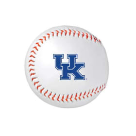 UK Baseball Experience - Value is priceless item