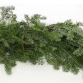 25' Balsam Garland item