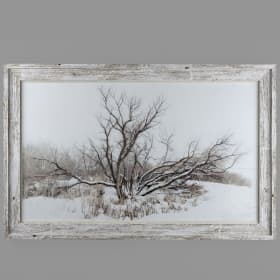 Framed Photo of The Wait of Winter item