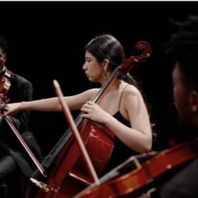 Young Artist Competition Fund item