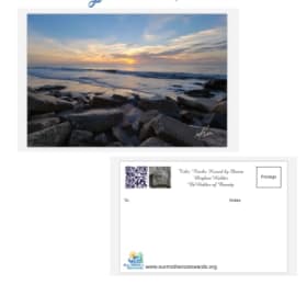 Post cards (100) item