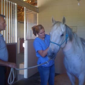 Annual Wellness Examination item