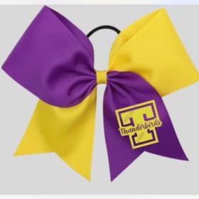 T-Bird Spirit Bow item