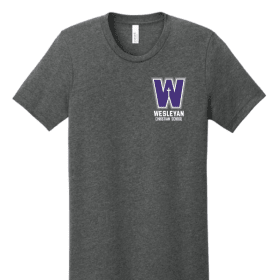 Toddler/Youth WCS 50th Year Anniversary Tee- Grey - W item