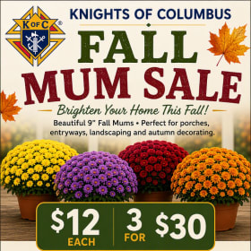 Multiple Mums (3 for $30) item