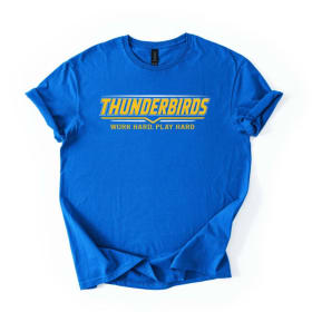 2XL Shirt item