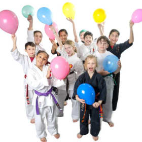 Desantos Martial Arts Birthday Party Gift Certificate item