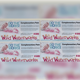 Wild Water Works Hamilton Admission -  NO EXPIRY item