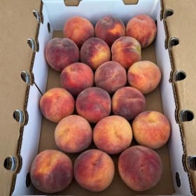 9 lb Box of Palisade Peaches item