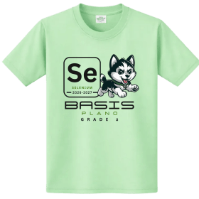 Element Shirts - 2nd Grade item