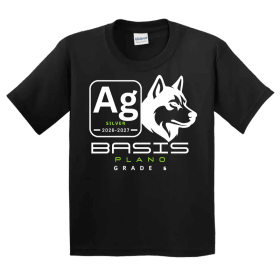 Element Shirts - 6th Grade item
