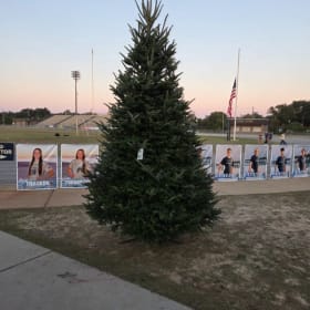 10 Ft Tree item
