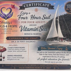 Sailing Experience on the Straits item