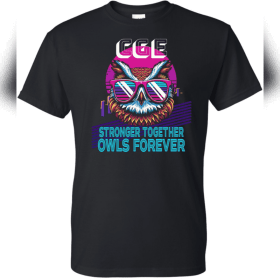 Adult 2X or 3X T-shirt item