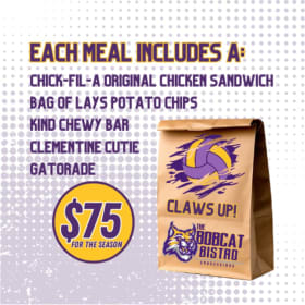 Girls Volleyball item