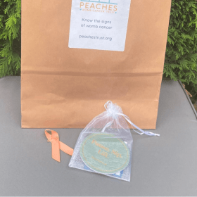 Peaches Mystery Goodie Bag (includes postage) item