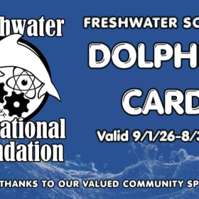 Dolphin Card item