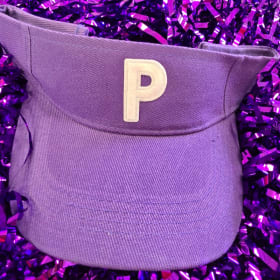 Panther Visor item