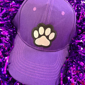 Panthers Hat item