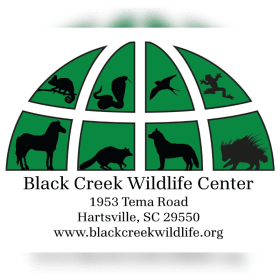 Private Tour for up to 4 at Black Creek Wildlife Center item