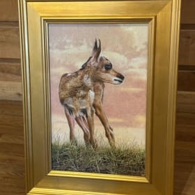 Fawn - Tom Bishop item