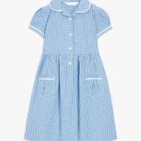 Gingham Dress item