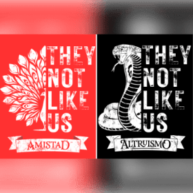 They Not Like Us House T-Shirt item
