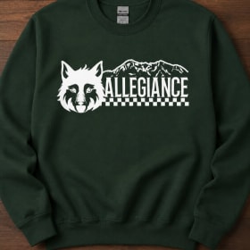 Sweatshirt item