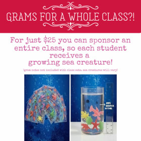 Valentine’s Day Grams - Class Sponsorship item
