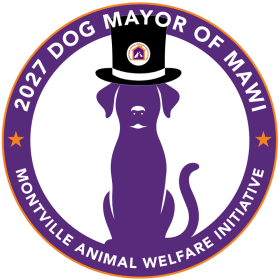 Dog Mayor Nomination item