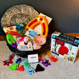#49 Full Blown CAT'S MEOW! item