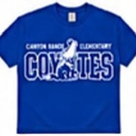 House color T-shirt item