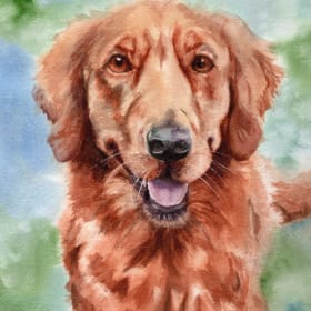 3. Custom Watercolor Pet Portrait by Kristin Francis item