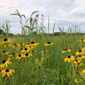 Dinner on the Prairie for 8 item