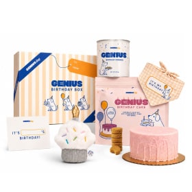 Genius Dog Toys & Treats Birthday Box ($50 Value) item