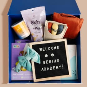 Genius Dog Toys & Treats Back to School Box ($150 Value) item
