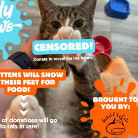 1 paw item