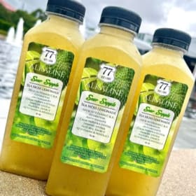 🍏🌿 Alkaline Soursop Sea Moss Lemonade – 16 oz 🍋 item